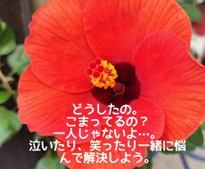 ２４時間、なんでもお悩みや愚痴聞きます 元No.１キャバ嬢に悩みを打ち明けて一緒に癒されましょぅ♡