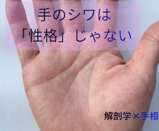 写真1枚から気になる手相を1つ鑑定します イメージ1