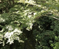 心のモヤモヤを晴らすお手伝いいたします イメージ1