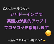 英語力が劇的アップ！一緒にシャドーイング練習します 身に付けば一生モノ！自力でできる英語学習を丁寧に指導します