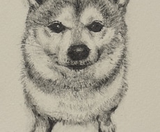 ペットの似顔絵描きます イメージ1