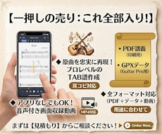 初心者歓迎！ギターTAB譜アレンジ作成します 動画納品ok音で確認しながら練習できます。