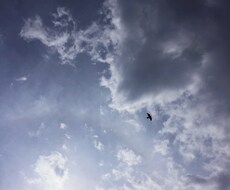 質問を心の中で明確な話し言葉で唱えて下さい。カードを通じて対応するメッセージをお伝え致します。 イメージ1