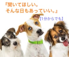 動物相談員が1分でも話を聞きます。心に寄り添います イメージ1