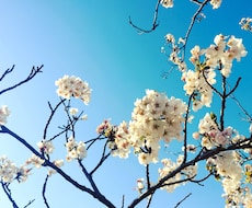 あなたの話お聞きします イメージ1