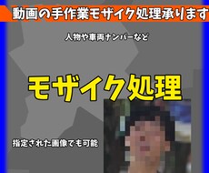 手作業モザイク処理承ります イメージ1