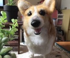 お写真からペットちゃんのそっくりドール作ります 「お帰り」と言って頂ける作品を目指しています。
