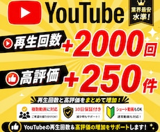 YouTube再生回数＋高評価をまとめて増やします 再生2000回＋高評価250件｜ショート動画も対応