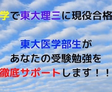 東大医学部生があなたの受験勉強を徹底サポートします 勉強計画のサポートや質問回答、解答添削を行います。