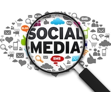 ツイッターフェイスブックのアカウントを育てます 効率的効果的なアフィリエイトのやり方もお教えします。