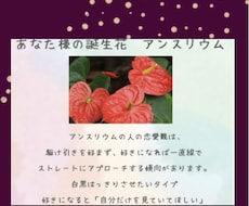 あなた様だけの花言葉を画像でお伝えします 5月14日まで限定！花占い&カードリーディング
