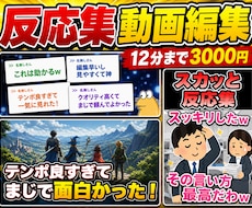 2chまとめ・反応集の動画をYMM4で編集します イメージ1