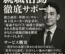 ES添削、想定質問を添削します イメージ1