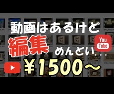 動画編集(カット・テロップ・音入れ)できます イメージ1