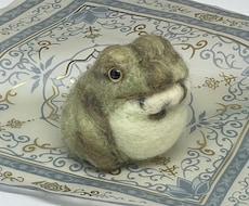 チャコガエルさん制作します 可愛い羊毛フェルトのカエルさん制作します
