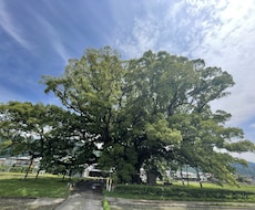 癒しのエネルギー、臼井式レイキをお届けします からだやこころを整えたい、リラックスしたい方へ