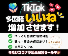 TikTokの多国籍いいねを増加させます イメージ1