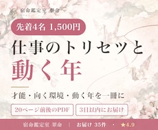 仕事のトリセツ鑑定書を算命学で作ります イメージ1