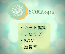 動画編集のテロップ入れ承ります イメージ1