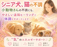シニア犬、猫の不調ケアやさしい遠隔ヒーリングします イメージ1
