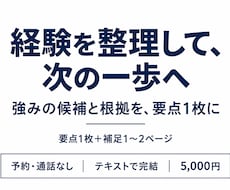 経験を整理し、強みと次の一歩を1枚にまとめます イメージ1