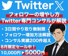 Twitter,Xでのフォロワーの増やし方教えます ご希望の層を的確に狙える専属コンサルの徹底解説！質疑応答◎