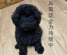 京都弁であなたの話を好きなだけ聞きます イメージ1