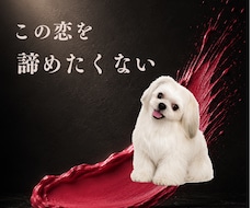浮気・複雑恋愛・婚外│霊感恋愛タロットで占います イメージ1