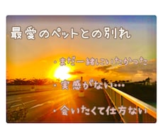 ペットとの別れ…話し聴きます イメージ1