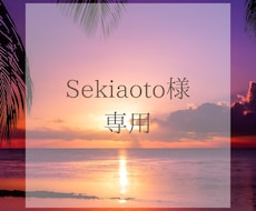 sekiaoto様専用ページとなります HP保守専用ページとなっております。