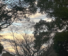 気になってること丸っと解決します 苦しいことは嬉しいことに、悲しいことは楽しいことに