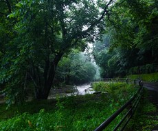 写真加工致します イメージ1