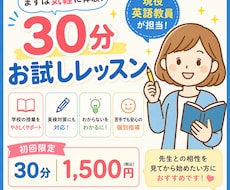 現役英語教員が30分のお試し英語レッスンを行います 完全オーダーメード！勉強のつまずきを一緒に解決！