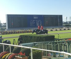 馬券予想します イメージ1
