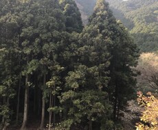 23歳なりのお答え提供します イメージ1