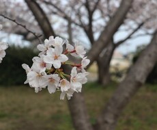 何でも話しを聞きます イメージ1