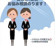 現役CAが日系CA受験のお悩み相談にのります イメージ1