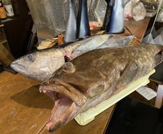 魚釣りのポイントや、おすすめのタックルおしえます イメージ1