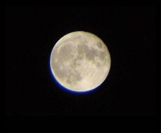 タロット占いで、あなたの悩みを明るい気持ちになれる様なアドバイスで、解決します。 イメージ1