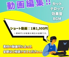 スピード重視で丁寧な編集をします イメージ1
