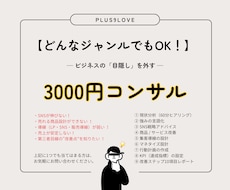 どんなジャンルもOK！3000円でコンサル致します ビジネスの「目隠し」を外す総合サポートサービス
