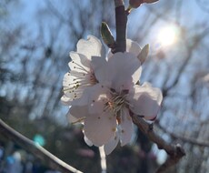 耳と心に残るハモりをつけます イメージ1