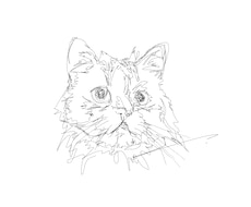線描でペットのオリジナルイラスト作成承ります イメージ1