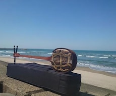 沖縄三線で観光をより楽しく！沖縄の三線を教えます イメージ1
