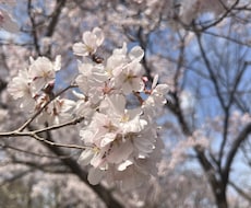 我慢しないで◎現役看護師、何でもお聞きします イメージ1