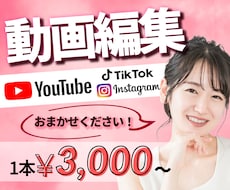 あなたに合わせた動画編集いたします 迅速丁寧にご要望にお応えできます！