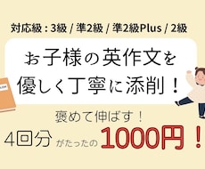 お子様向け！英検のライティングを優しく添削します イメージ1