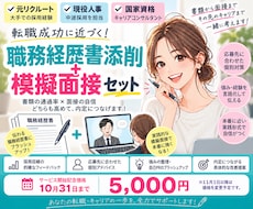 現役人事が職務経歴書添削＋模擬面接します イメージ1