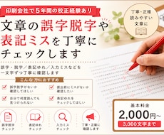 校正経験者が誤字脱字を丁寧にチェックします イメージ1