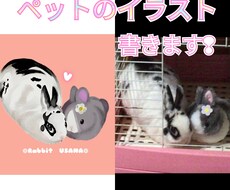 かわいいペットのイラストを書きます イメージ1